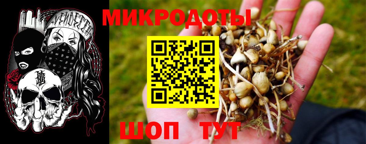 Галлюциногенные грибы MAGIC MUSHROOMS Калининград