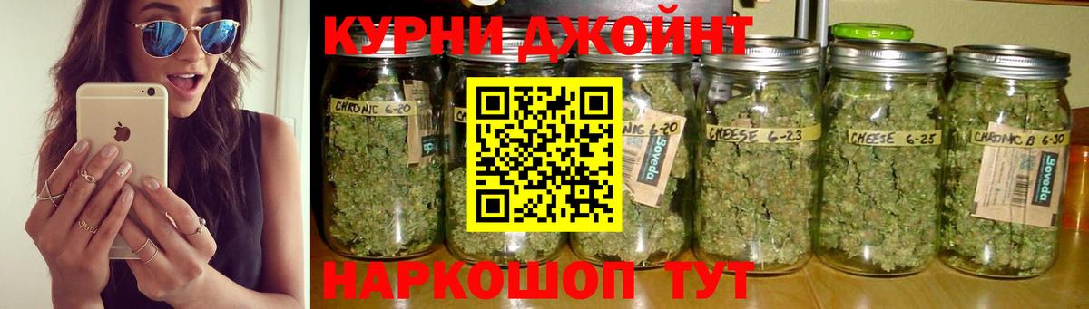 Бошки Шишки ГИДРОПОН Калининград